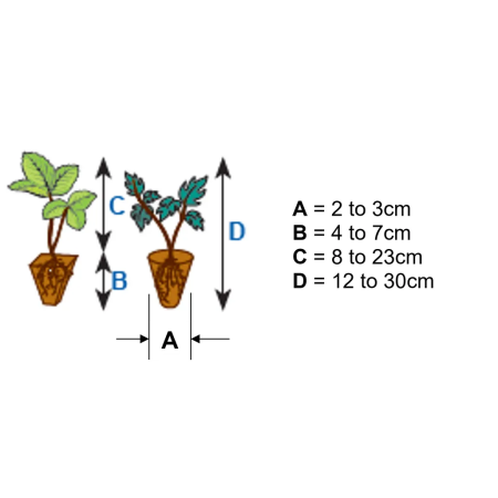 Unittrium Transplanter 2
